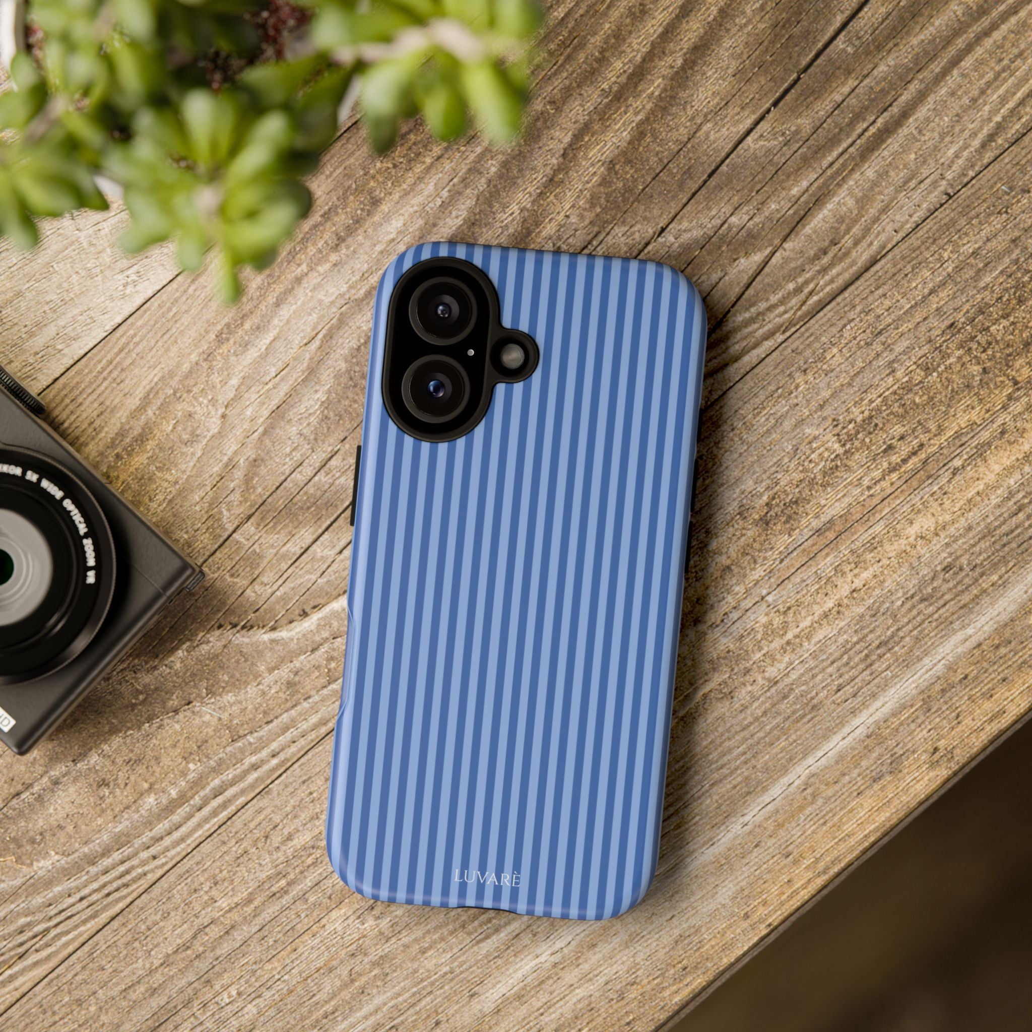 Blue Striped Case