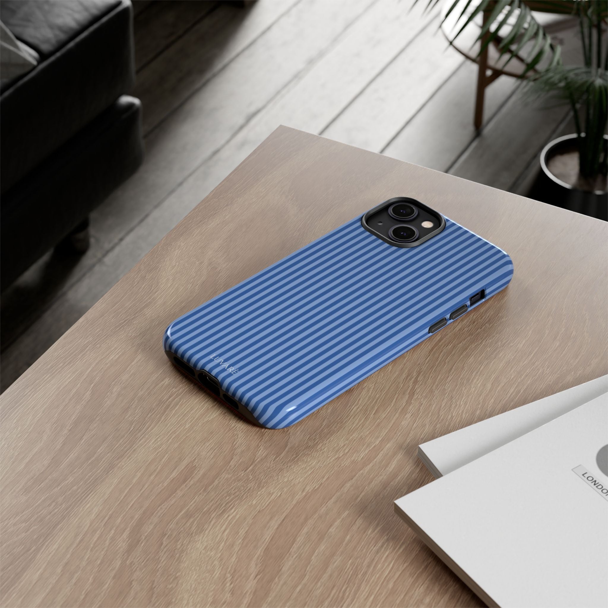 Blue Striped Case
