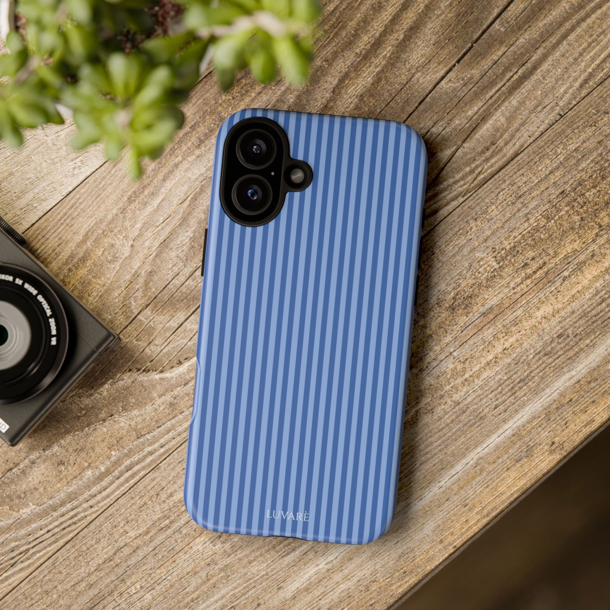 Blue Striped Case