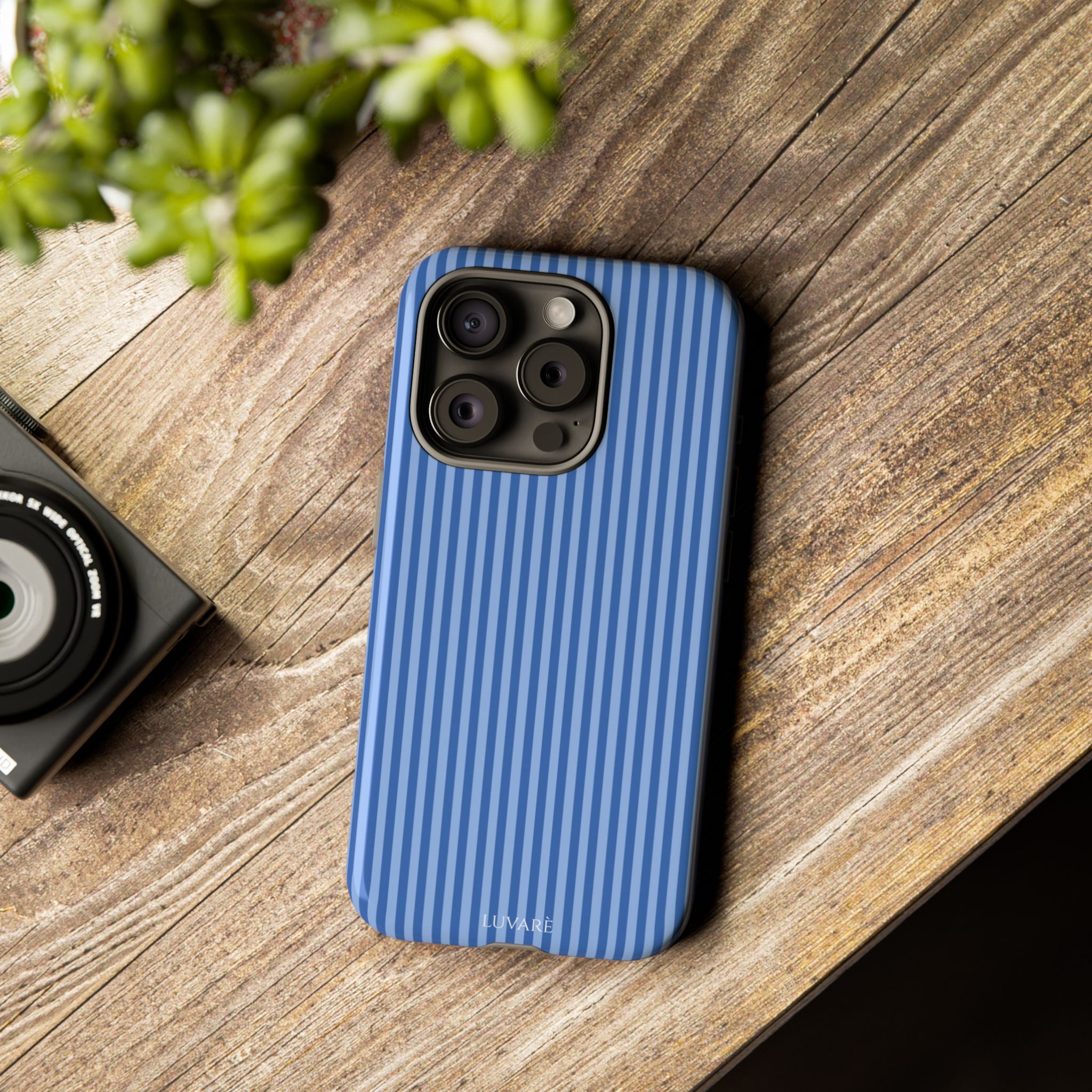 Blue Striped Case