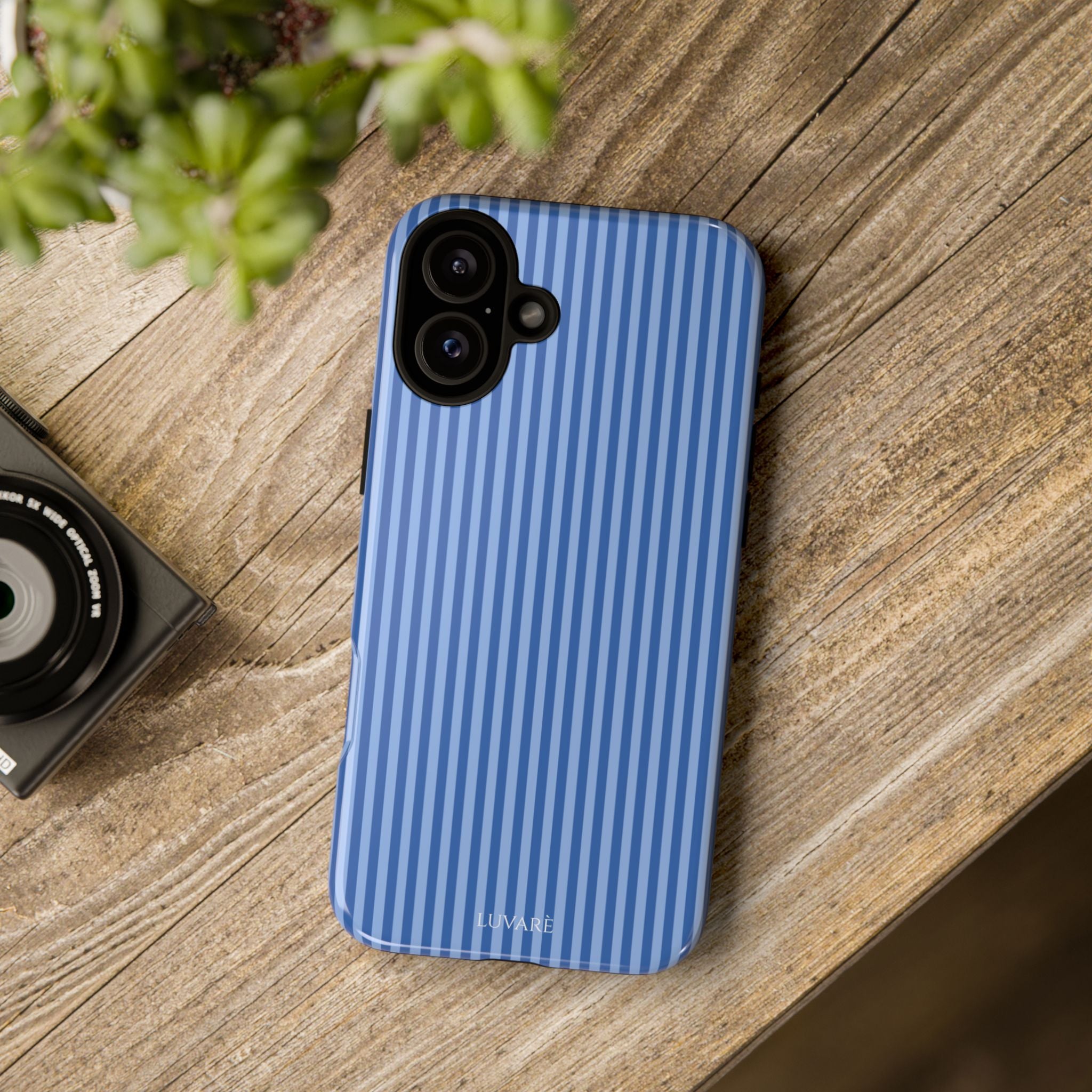 Blue Striped Case