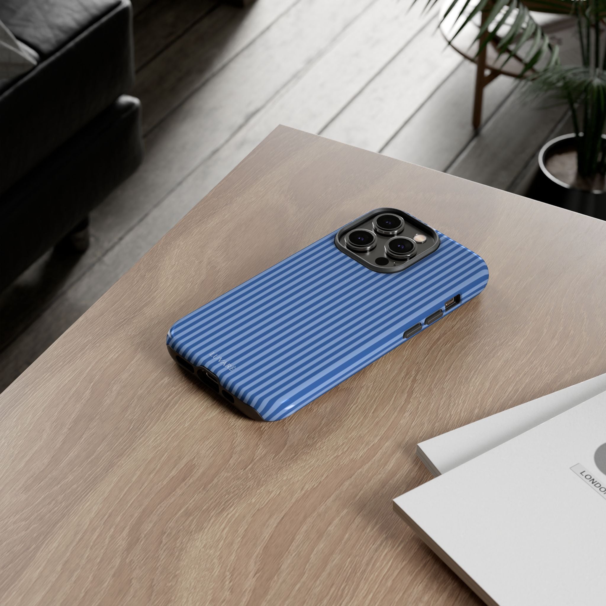 Blue Striped Case