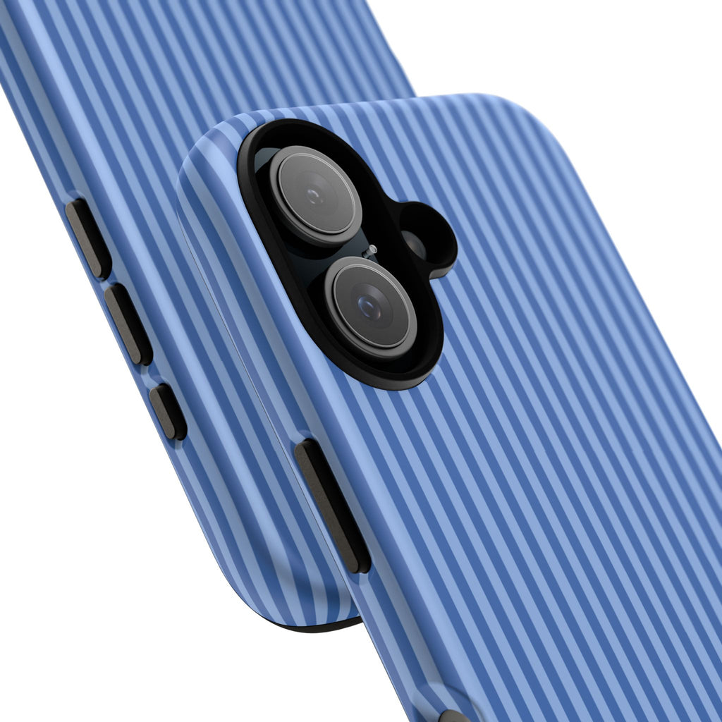 Blue Striped Case